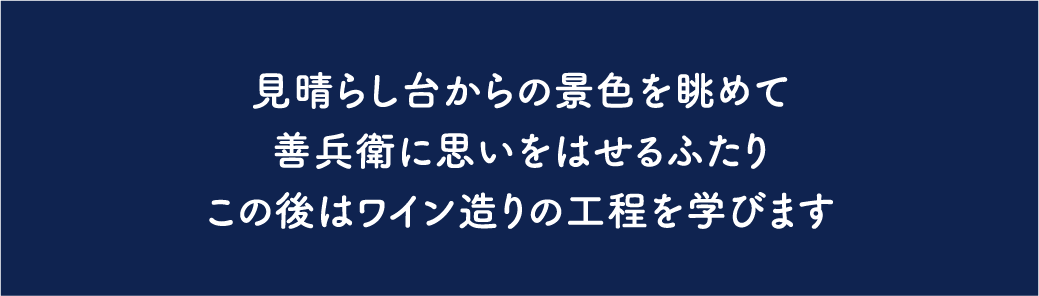 ブドウ畑と見晴らし台