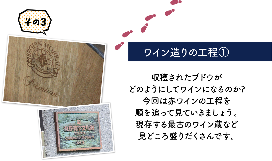 ワイン造りの過程