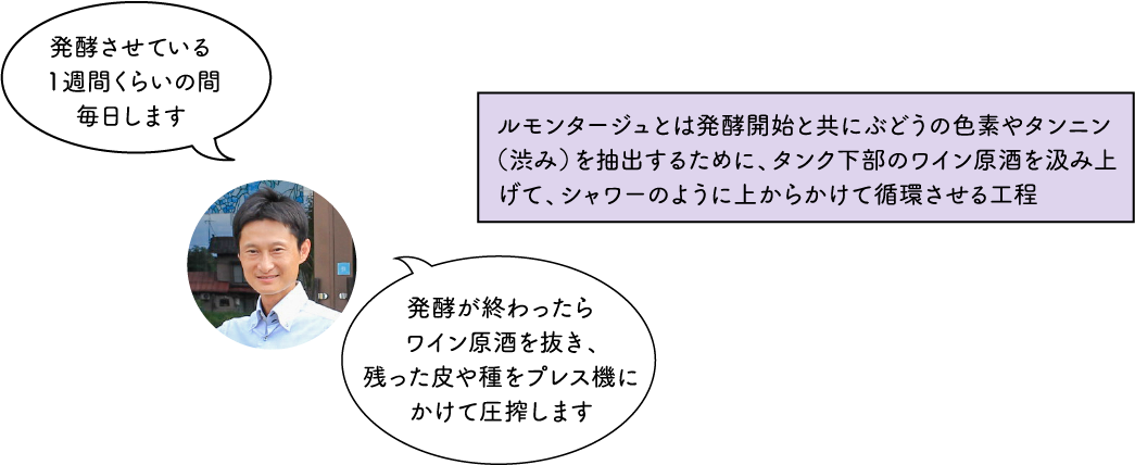 ワイン造りの過程