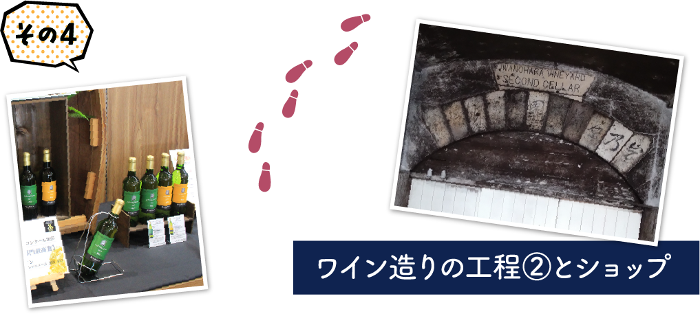 ワイン造りの過程とショップ