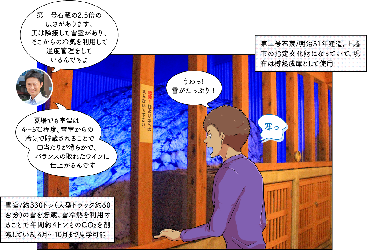 ワイン造りの過程とショップ