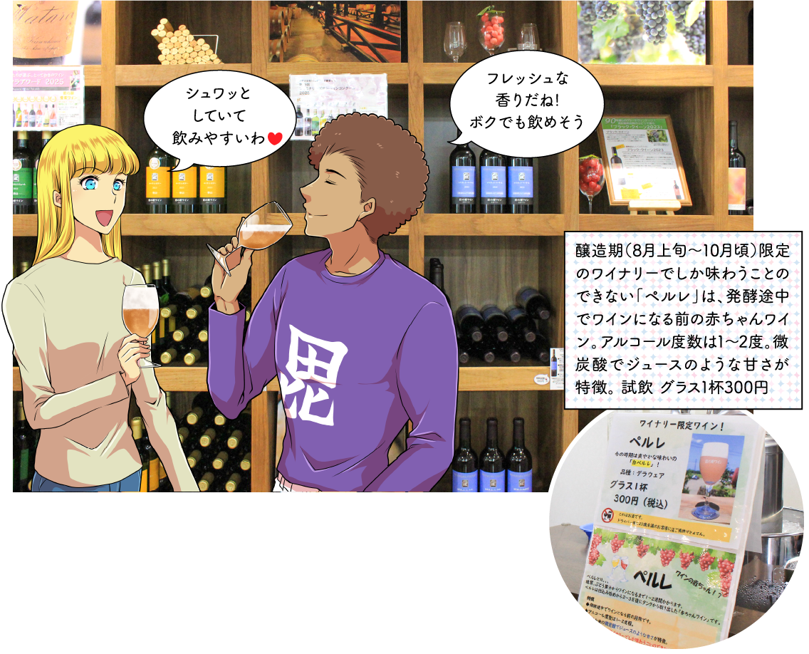 ワイン造りの過程とショップ