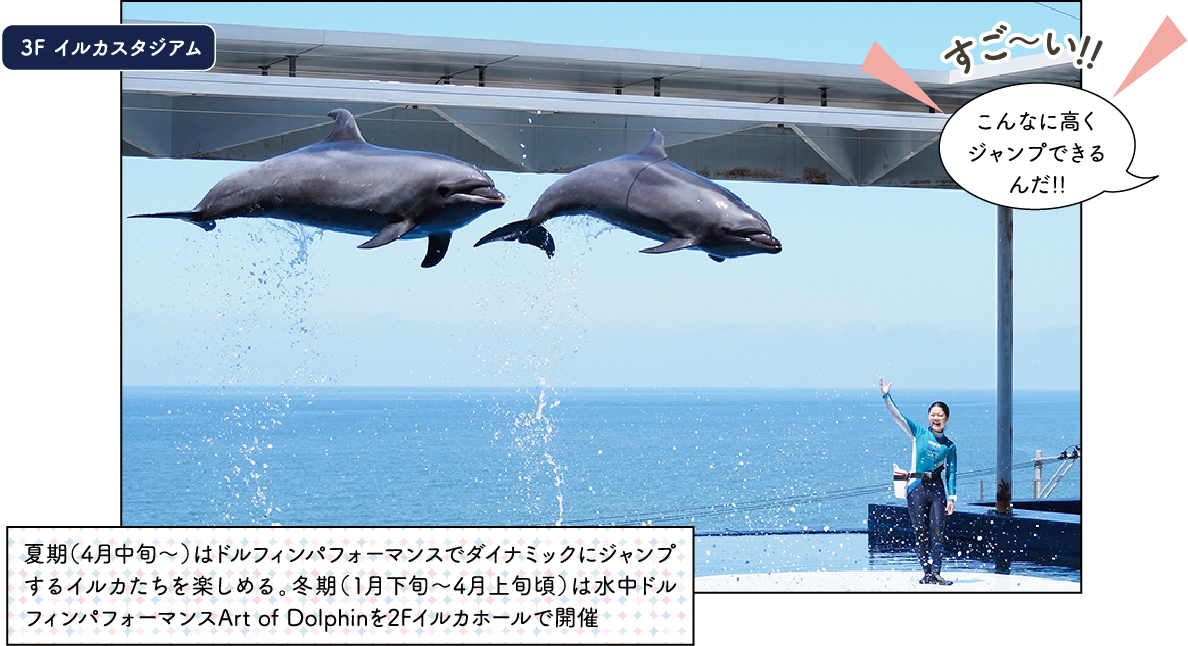 上越市立水族博物館 うみがたり