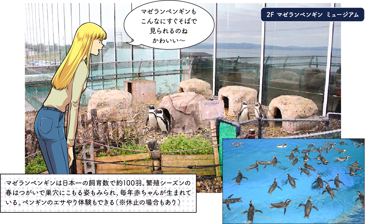 上越市立水族博物館 うみがたり
