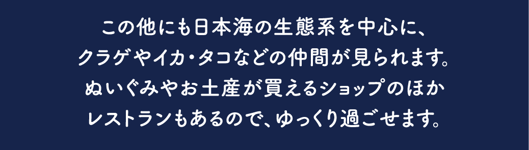 上越市立水族博物館 うみがたり