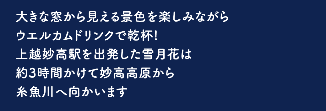 雪月花 列車内・車両紹介