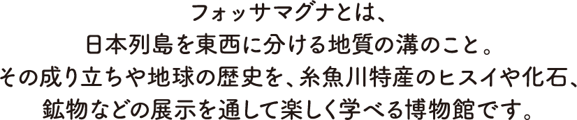 フォッサマグナミュージアム