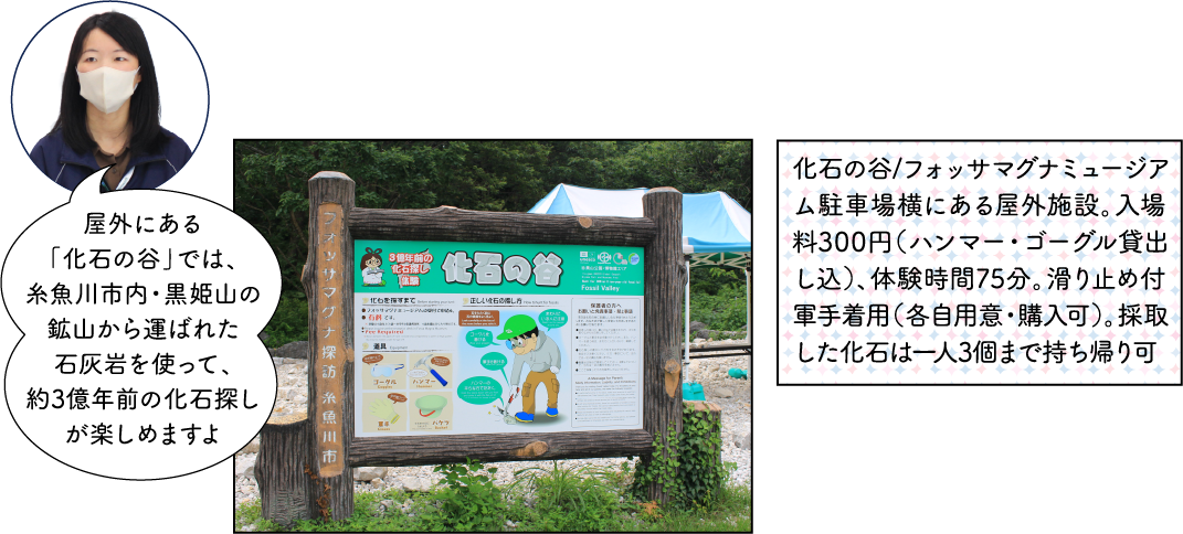 フォッサマグナミュージアム