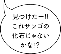 フォッサマグナミュージアム