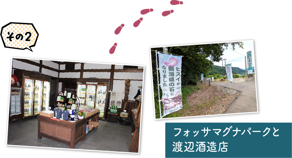フォッサマグナパークと渡辺酒造店