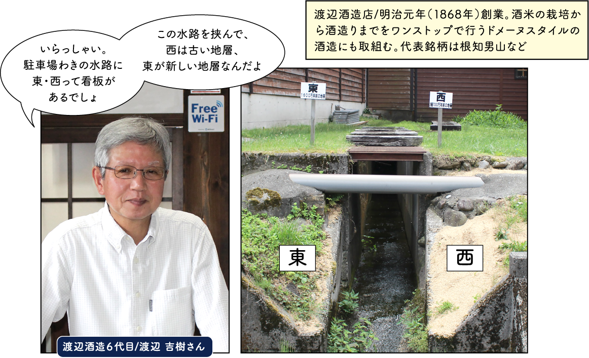 フォッサマグナパークと渡辺酒造店