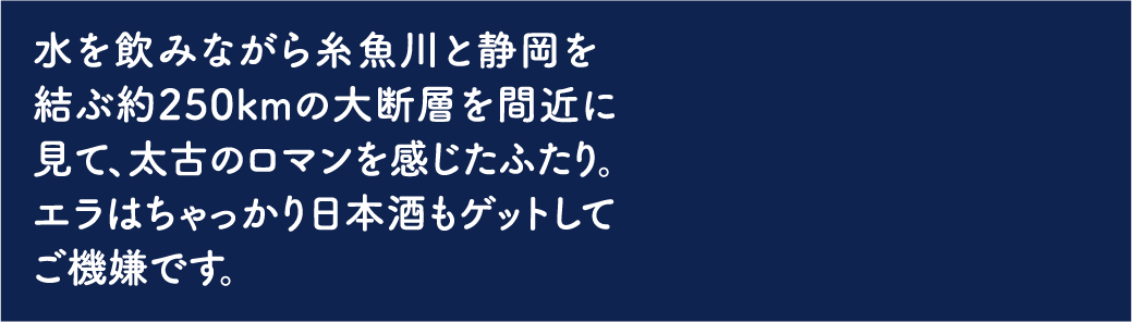 フォッサマグナパークと渡辺酒造店