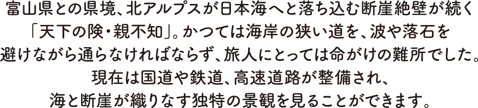 親不知