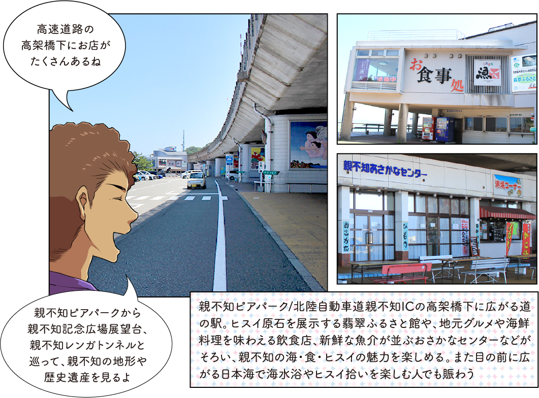 親不知