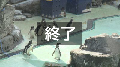 “マゼランペンギン”がテーマ クラフト展（10月30日　海浜公園）