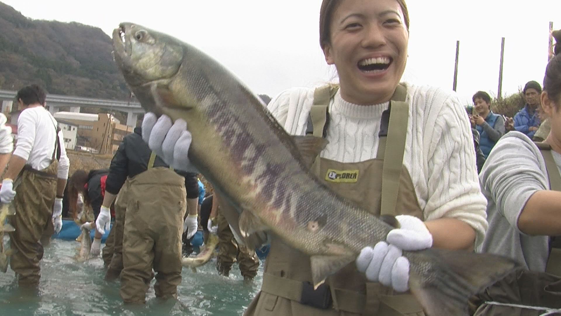 水しぶき上げ豪快に！ サケのつかみ取り