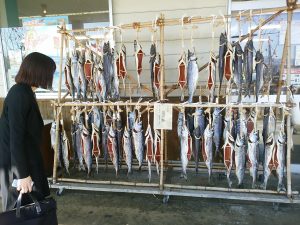 IMG_20161118_111718[1]