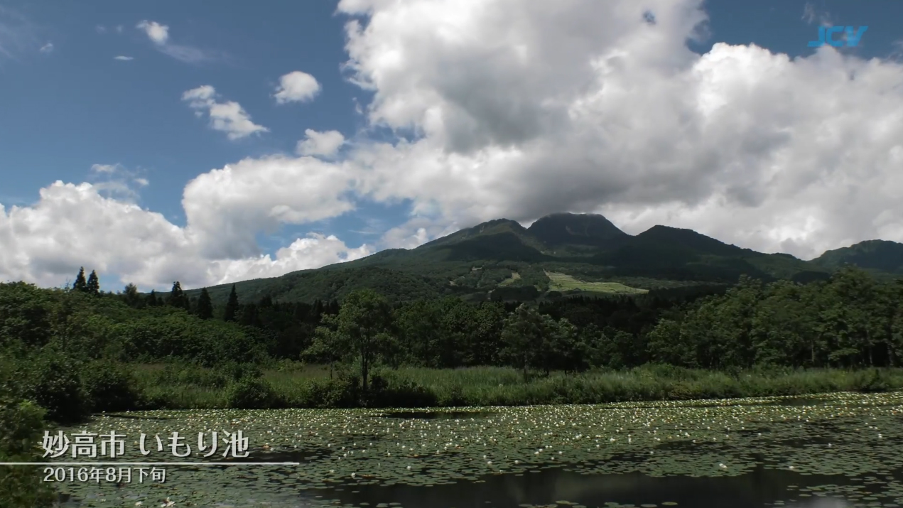 妙高市 いもり池