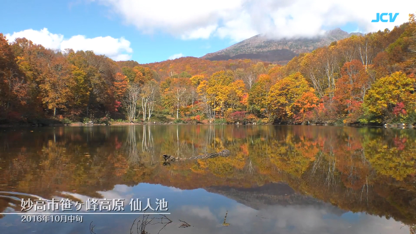 妙高市 笹ヶ峰高原（仙人池）