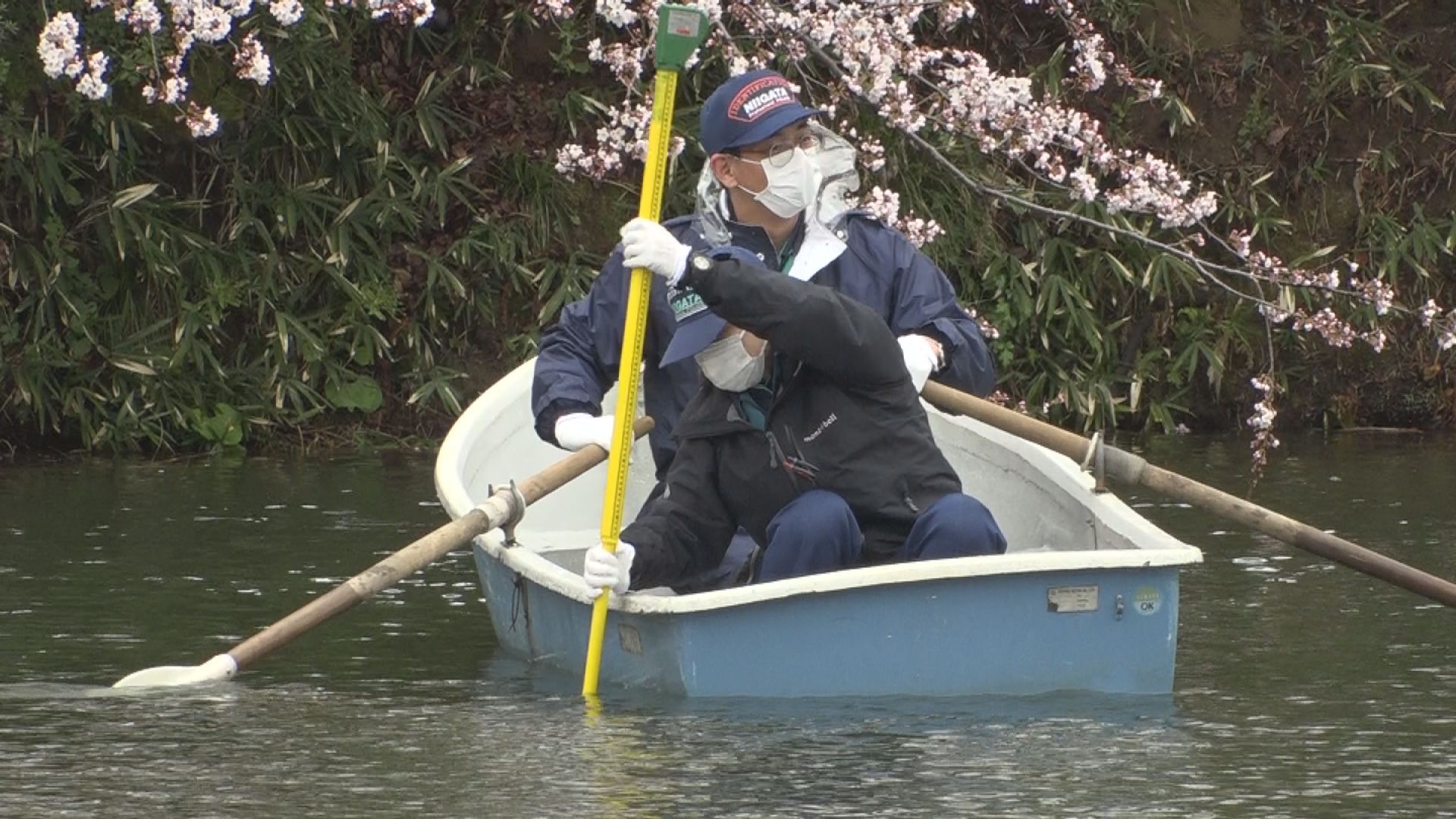観桜会ボート営業　救命胴衣着用義務付け