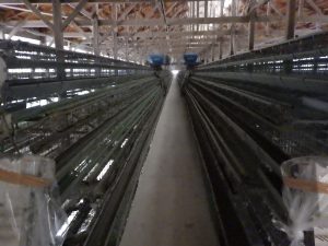 RIMG0826