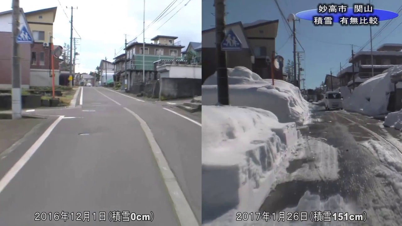 降雪で変わる冬景色 これでも少雪！？