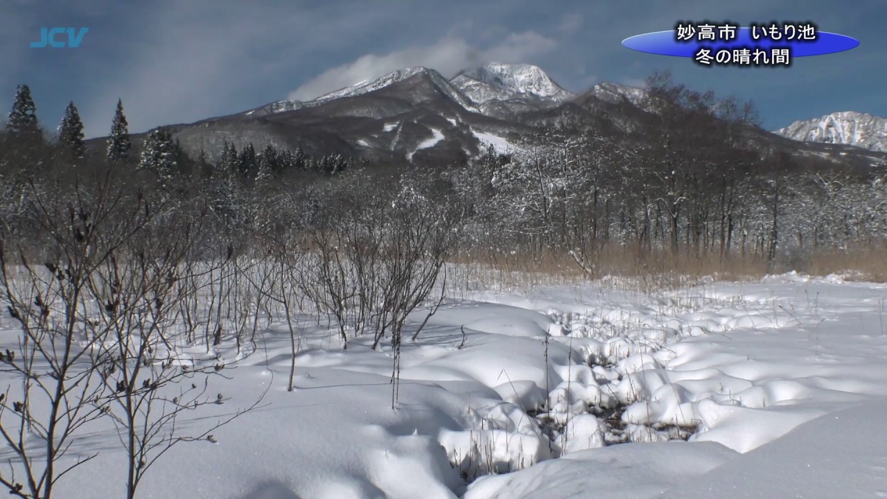 【動画】いもり池　凛とした冬のひと時