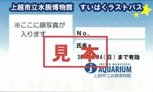 scan-50-2