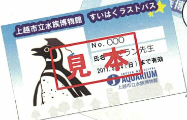 すいはくラストパス販売中　5月14日まで使えます！