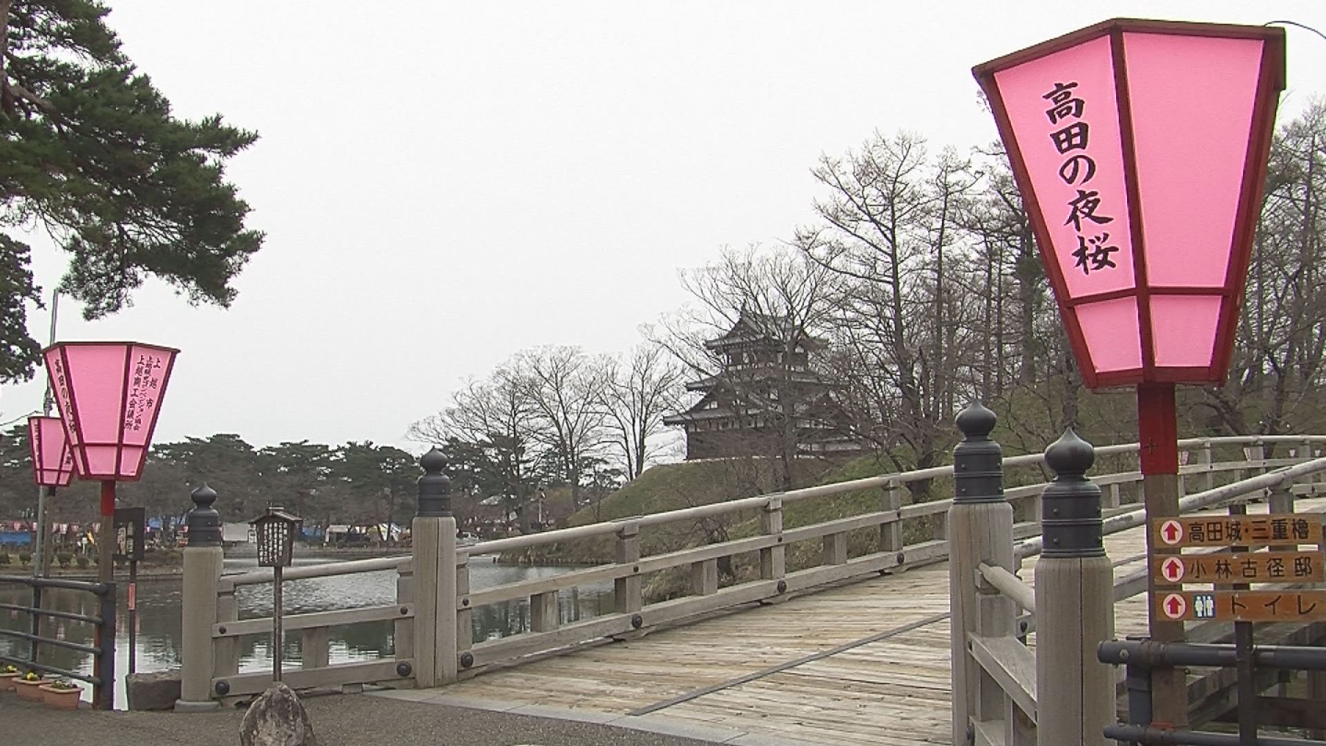 観桜会1日開幕　サクラの開花は・・・