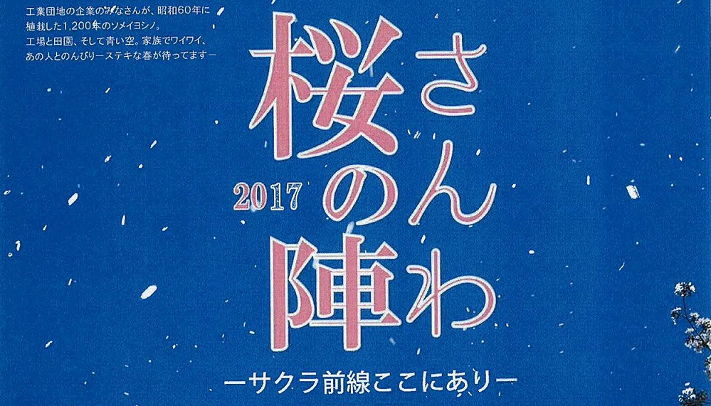 1,200本が咲き誇る「さんわ桜の陣」 15日・16日