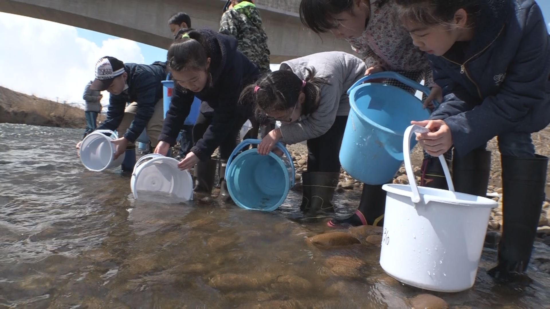 4年後に戻って来てね！矢代川にサケ稚魚放流