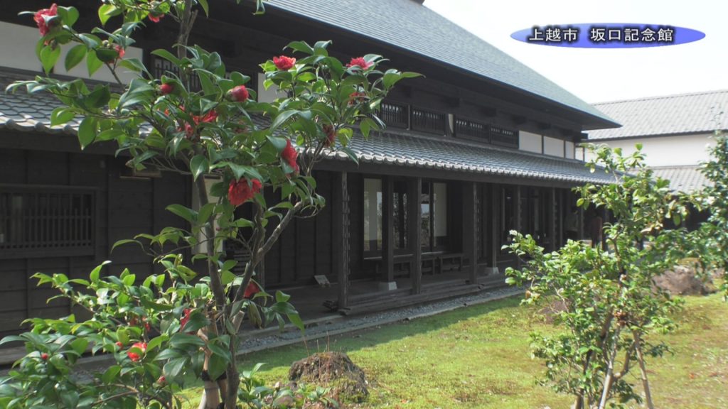 ゆきつばき坂口記念館00000003