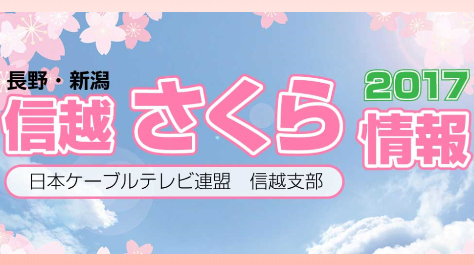 桜の名所をライブカメラでチェック！「信越さくら情報」公開