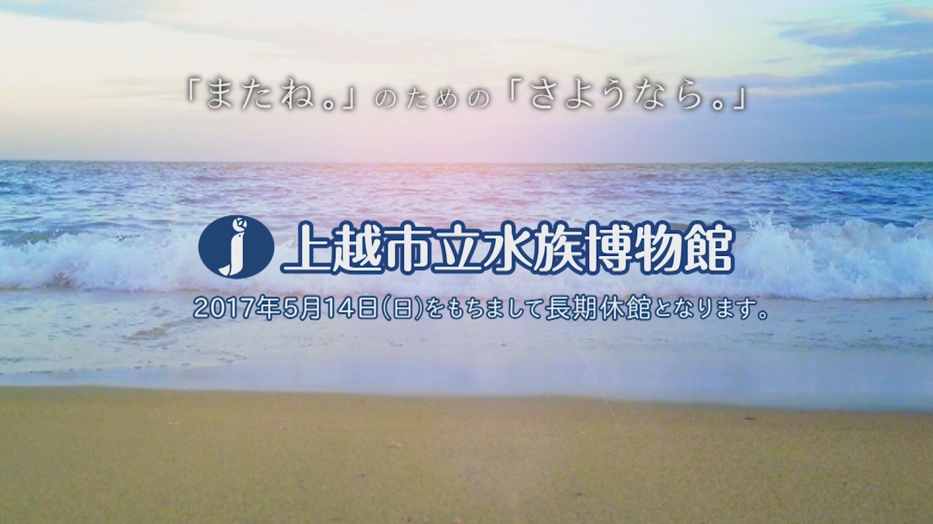 水族館６