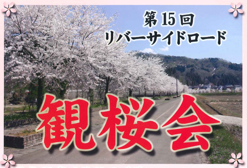 “全長6㎞の桜並木”リバーサイドロード観桜会　16日（日）