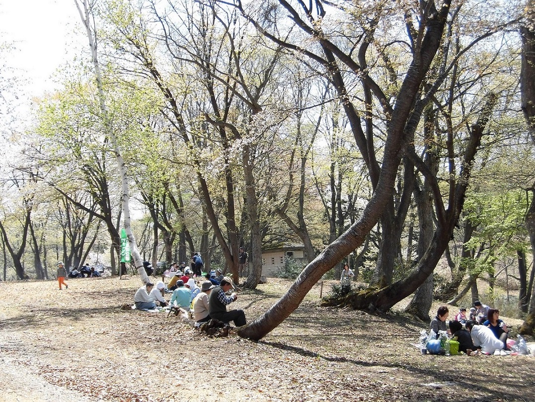 妙高市 高床山森林公園 29日オープン