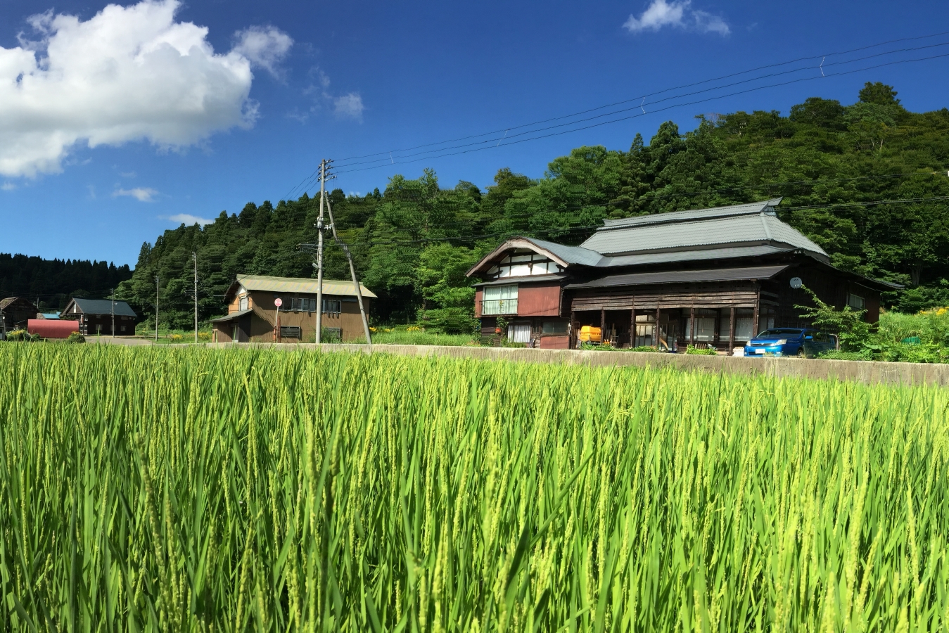 IMG_1372-1[1]