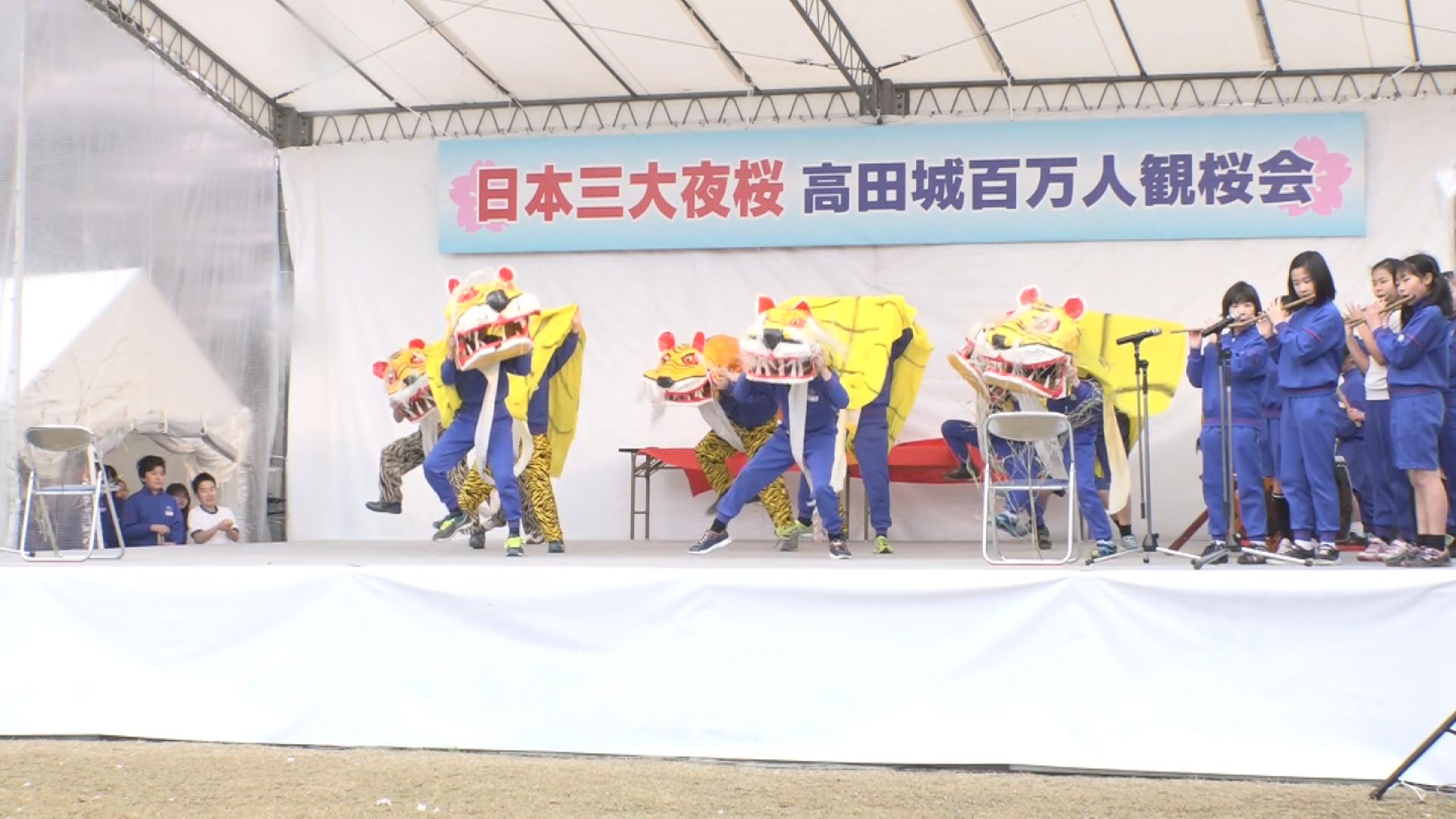 170411_附属小「おらだの虎舞」披露