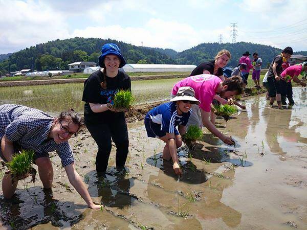 世界を”繋ぐ”酒造り 第一弾「田植え」 体験  申込あすまで！