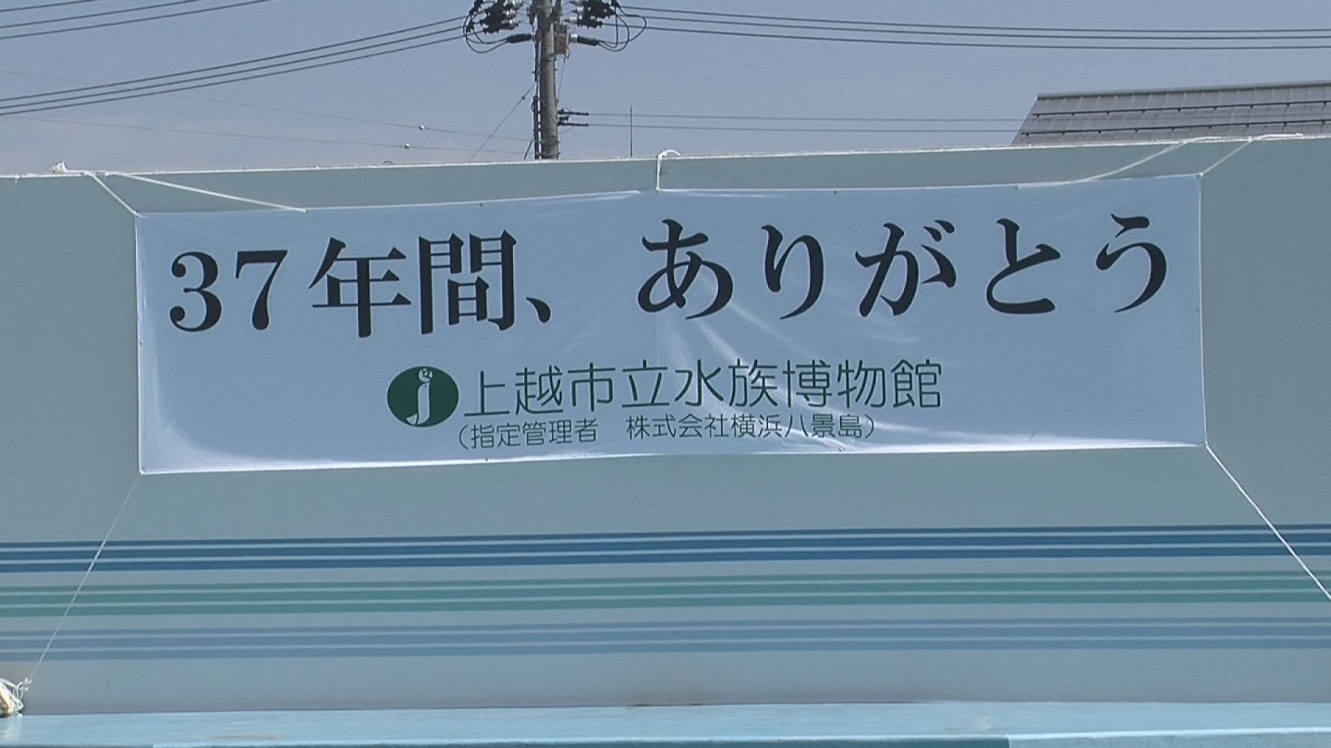 水族館00000002