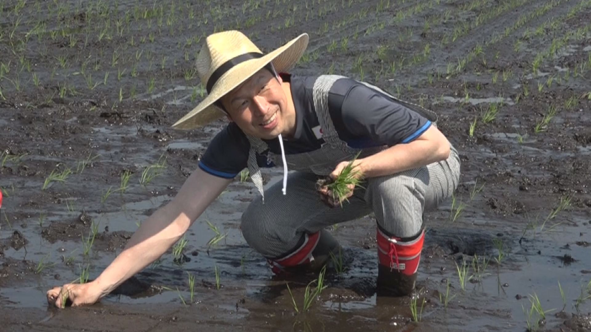 田植え１