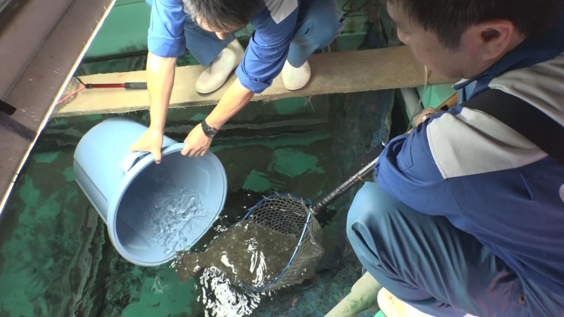繝偵Λ繝｡謐慕佐