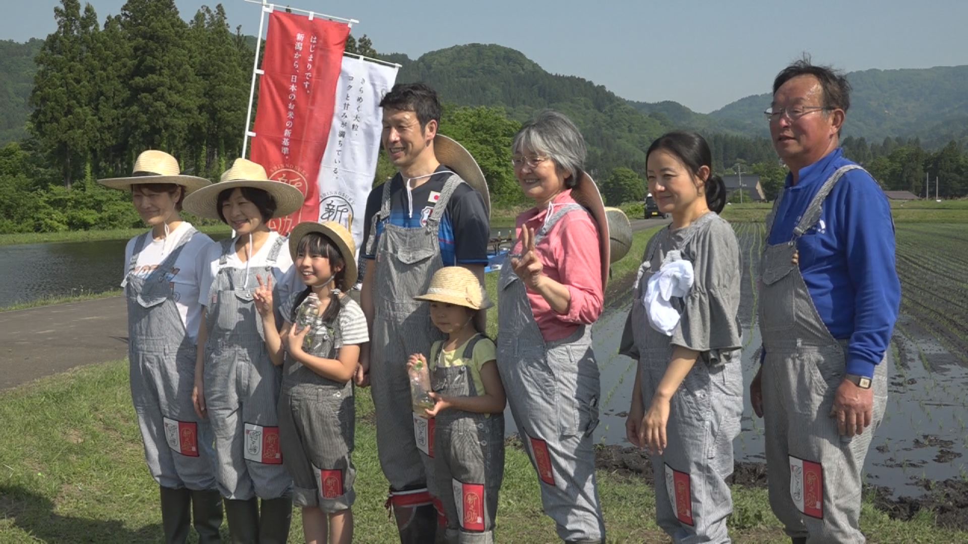 今秋デビューの「新之助」 妙高市で知事が田植え
