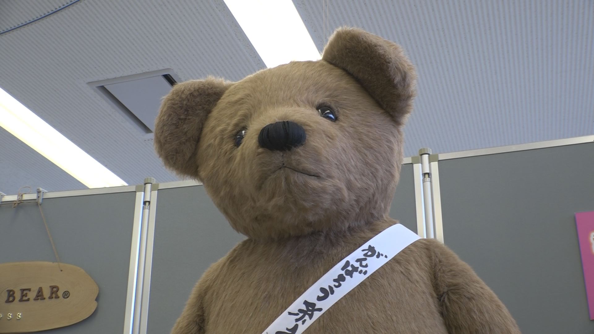 くま６