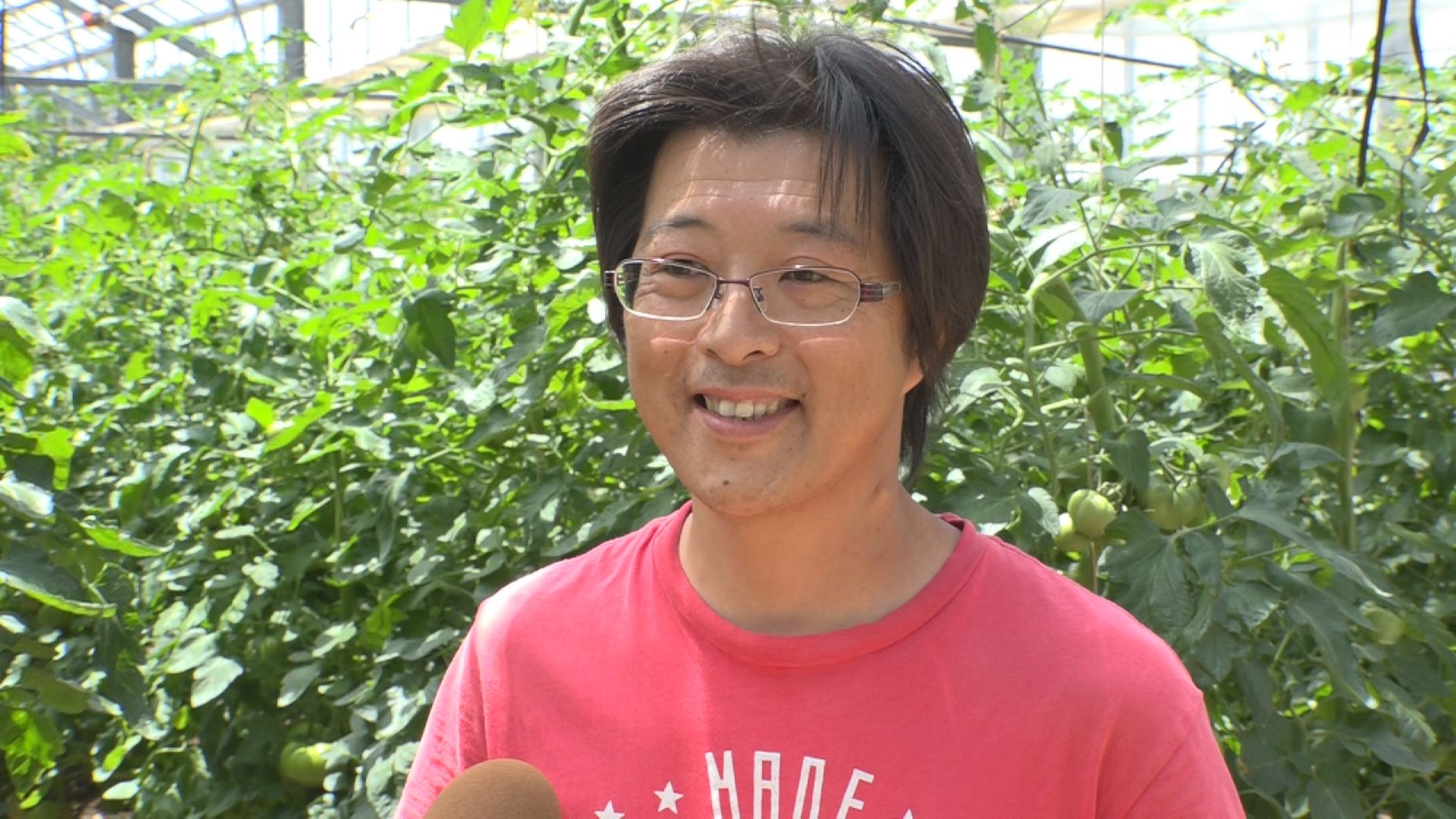 トマト６
