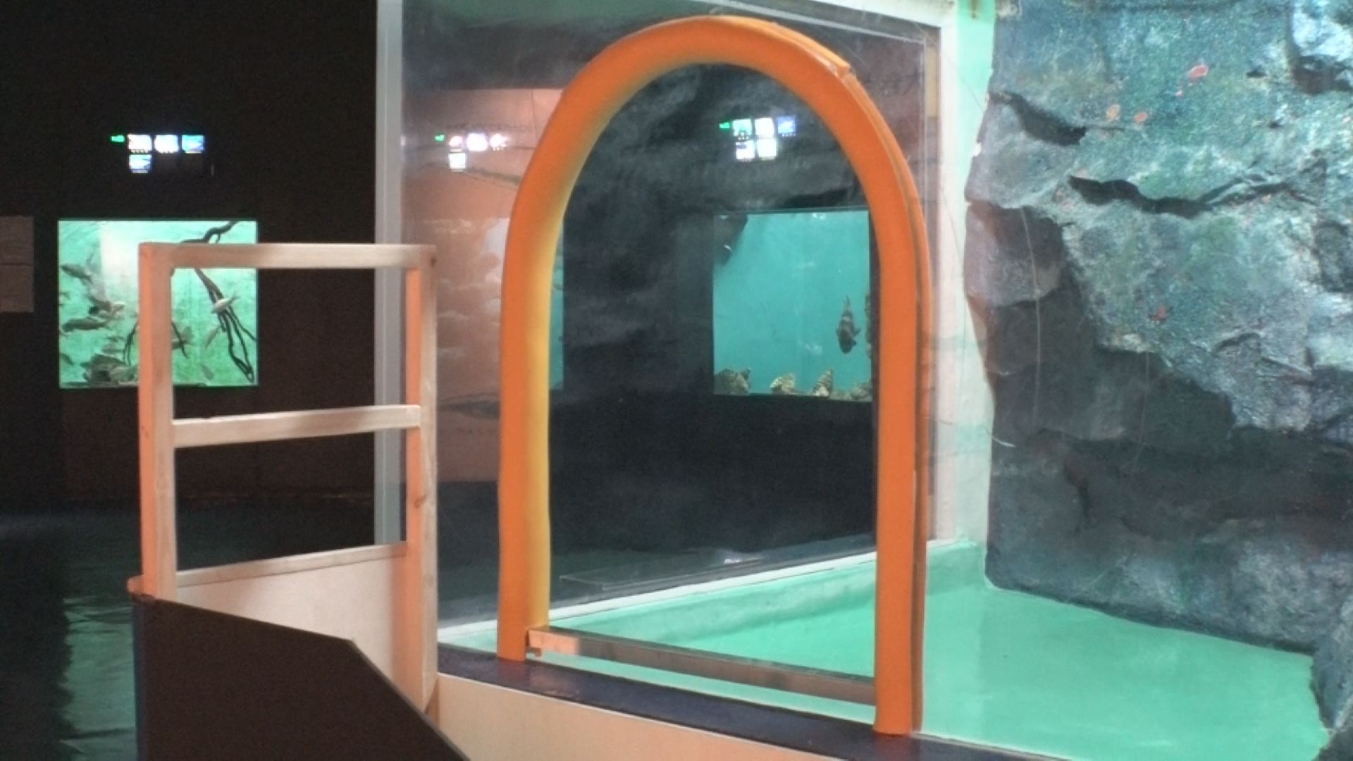 170509_すいはく「水槽の中、入っちゃおう!!」03