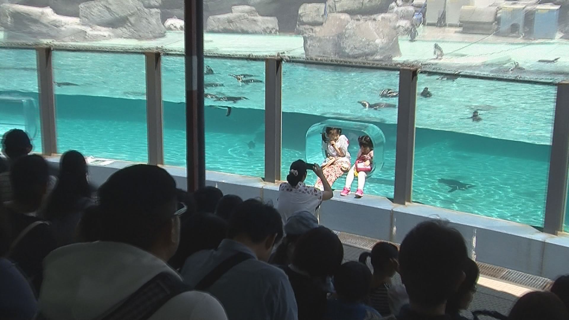 水族館00000003