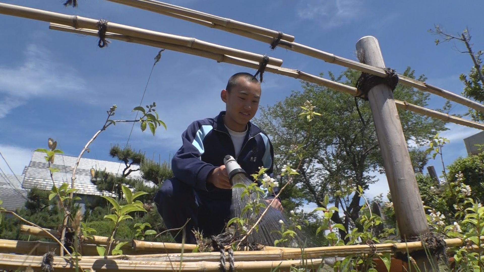 生徒が挿し木”卯の花”ついに開花！