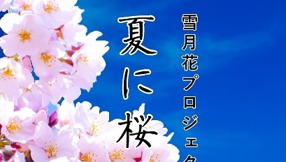 夏に桜の花が咲く  雪月花プロジェクト  17 日開催